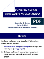 Kuliah 2. Pembentukan Energi, BMR Dan Pengukurannya