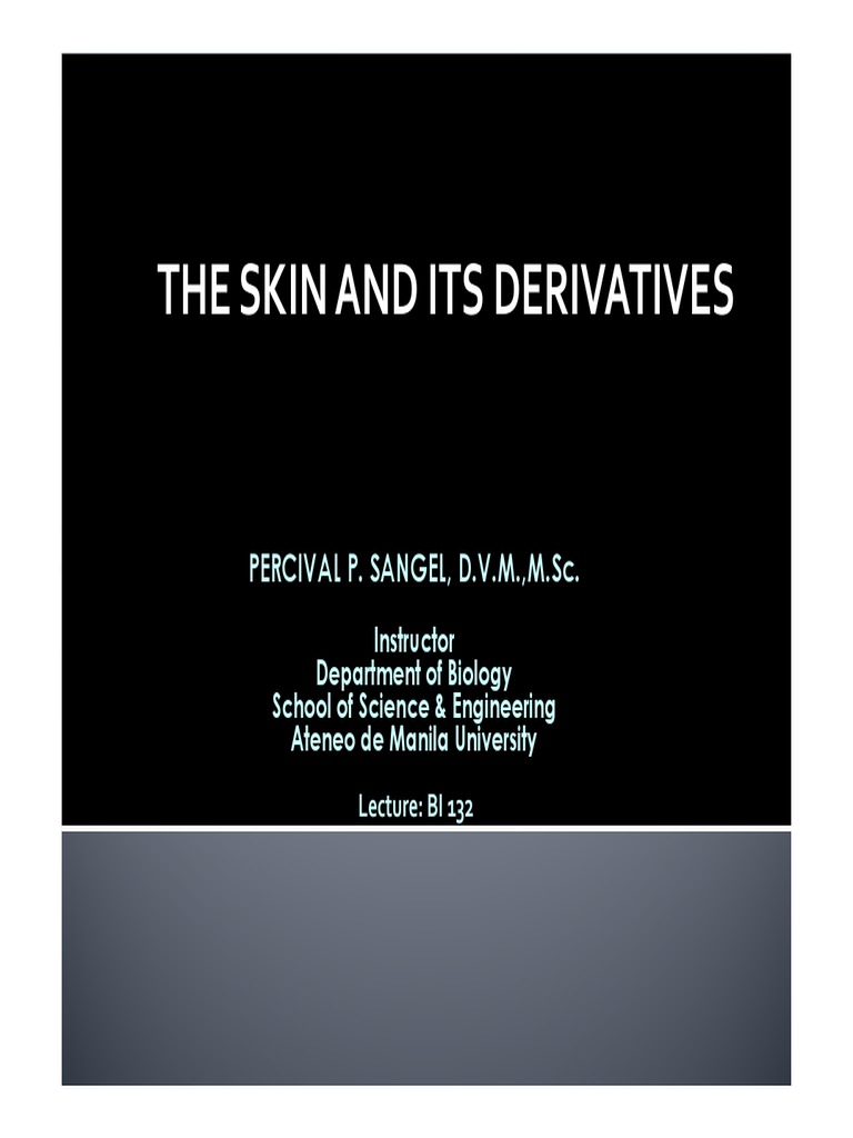 Lecture10 The Skin and Its Derivatives PDF Epidermis Skin