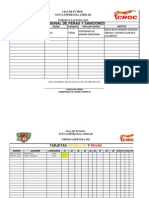 Formato Tribunal Penas y Sanciones