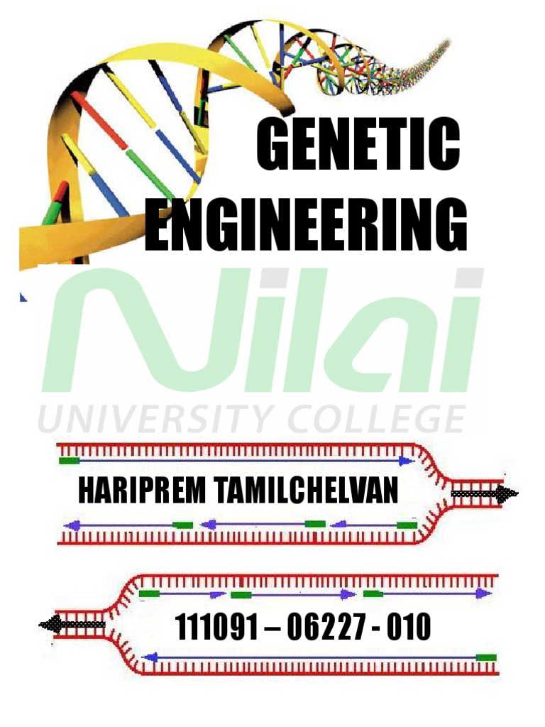 assignment about genetic engineering