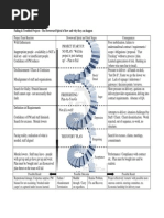 ASCE Engineering Grade Levels Guide | PDF | Engineer | Design