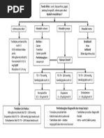 Algoritma Hipotensi Atau Syok Dan Edema Paru Akut