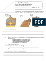 B - 3.1 - Ficha Formativa - Actividade Vulcânica PDF