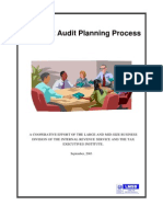 09-17-03 Joint Audit Planning Process With Cover[1]