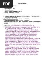 Fisa De Lectura O Scrisoare Pierduta