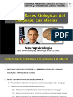 Presentación Tema 6 PDF