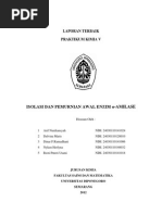 Download Percobaan 5 Pemurnian Awal Enzim Amilase by Siti Jari Handayani SN188334946 doc pdf