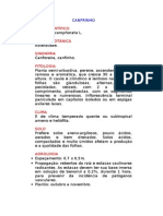 Canfrinho - Artemisia Camphorata L. - Ervas Medicinais - Ficha Completa Ilustrada