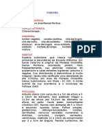 Cidreira - Hedyosmum brasiliense Martius. - Ervas Medicinais – Ficha Completa Ilustrada