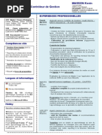 CV Audit Interne Controle de Gestion PDF