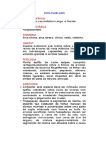 Cipó-Cabeludo - Polypodium Vaccinifolium Langs. e Fischer. - Ervas Medicinais - Ficha Completa Ilustrada