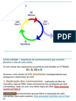 2012-2013 Turma3 Cicl Celular Mitose