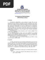 Levantamento Epidemiologico Passo a Passo