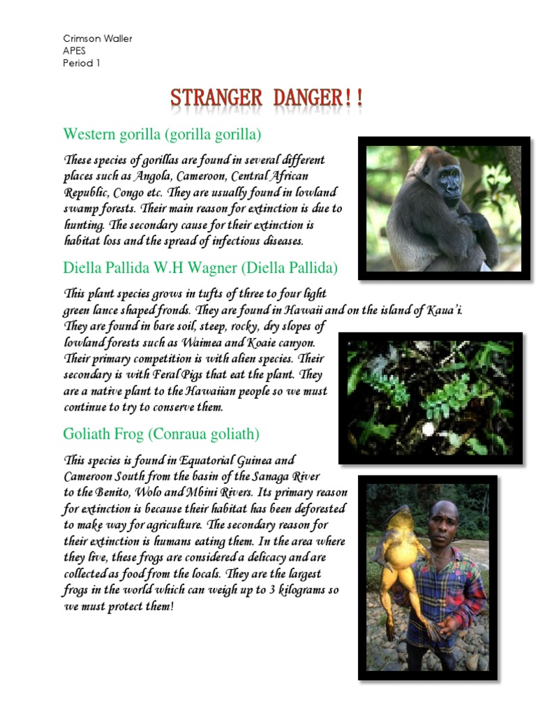 Protecting Endangered Species | PDF