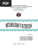 Concepto de Metabolismo y Nutricion