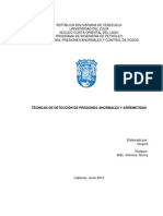 trabajo-de-deteccic3b3n-de-presiones-anormales-y-arremetidas_tema-nc2ba31.pdf