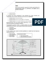 Anatomia do Cerebelo