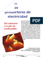 Celdas de Combustible Microbianas PDF