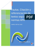 Instructivo Normas APA 2012 CVUDES