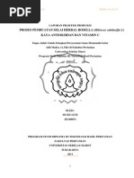 Download selai roselapdf by Windi Rosianingsih SN188472614 doc pdf