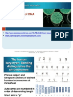 Analysis of DNA