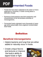 LECT3A Fermented Foods