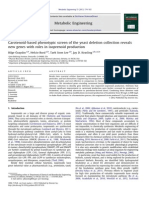 Carotenoid Based Yeast Screening