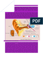 Anatomi Fisiologi Telinga