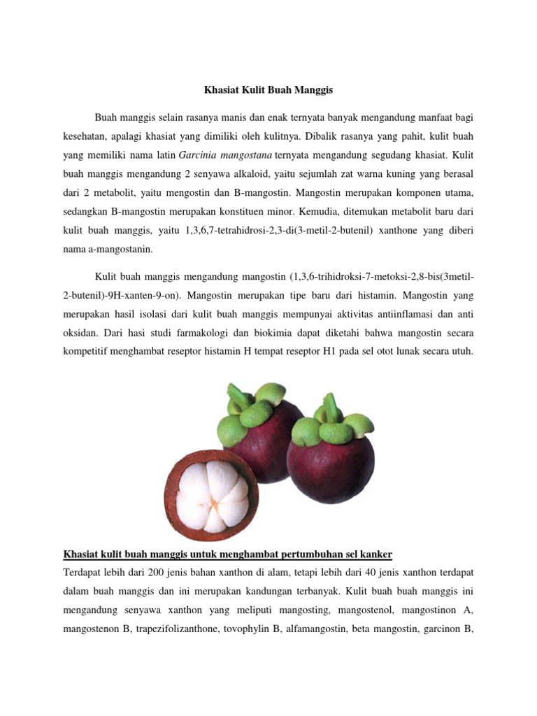 Artikel Kulit Buah Manggis Pdf