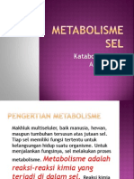 Metabolisme Sel