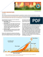 Flame Descriptors