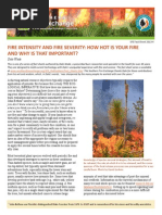 Fire Intensity and Fire Severity