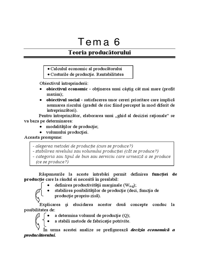 Tema 6. Teoria Producatorului | PDF