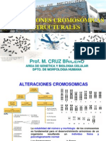 Alt[1]. Cromosomicas Estructurales g