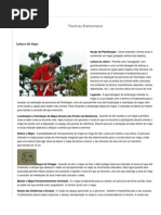 Tecnicas de Orientacao