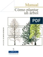 Como Plantar Un Arbol