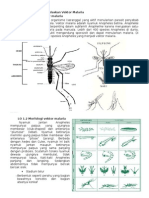 VEKTOR MALARIA