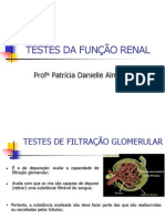 Aula 2 TESTES DA FUNÇÃO RENAL