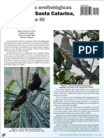 Observações ornitológicas no oeste de Santa Catarina - parte III