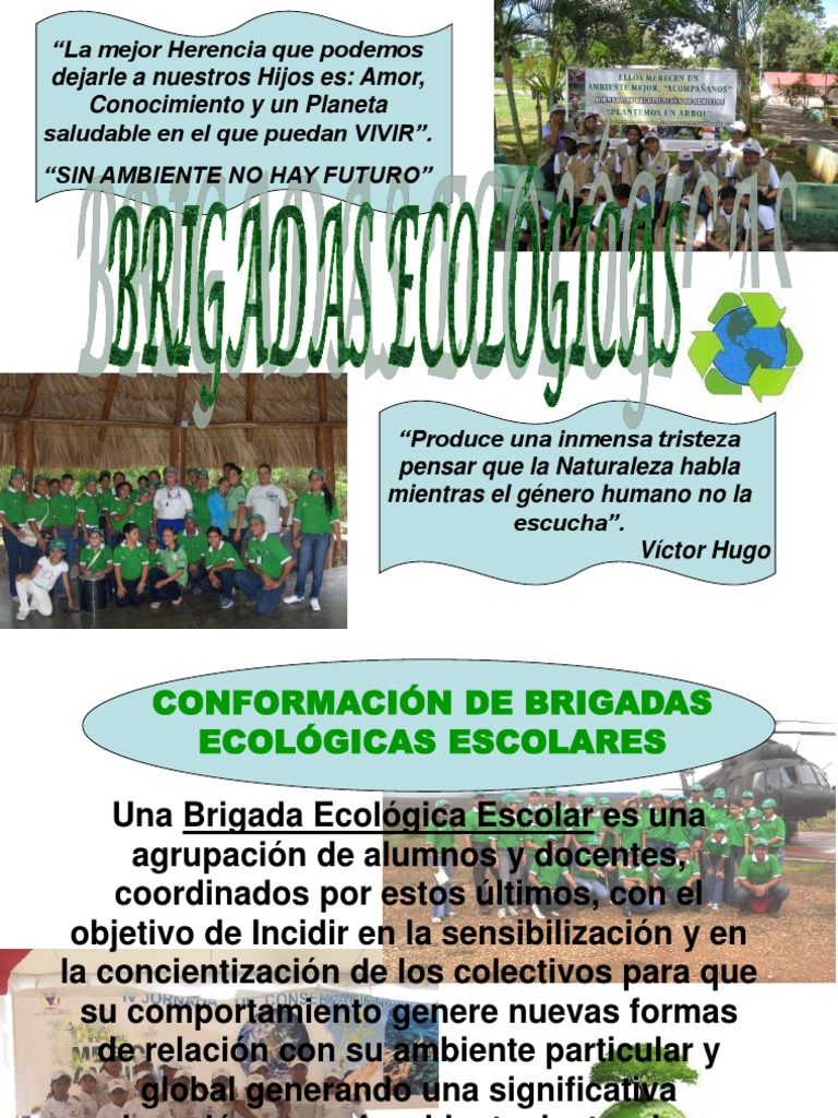 Funciones de la Brigada Ecológica Escolar | PDF | Movimiento ...