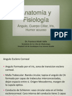 Fisiopatologia Glaucoma