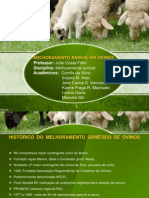 Slide - Trabalho Melhoramento Animal - Ovinos PRONTO