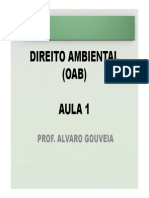 Slides Ambiental 1