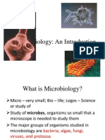 Microbiology Intro