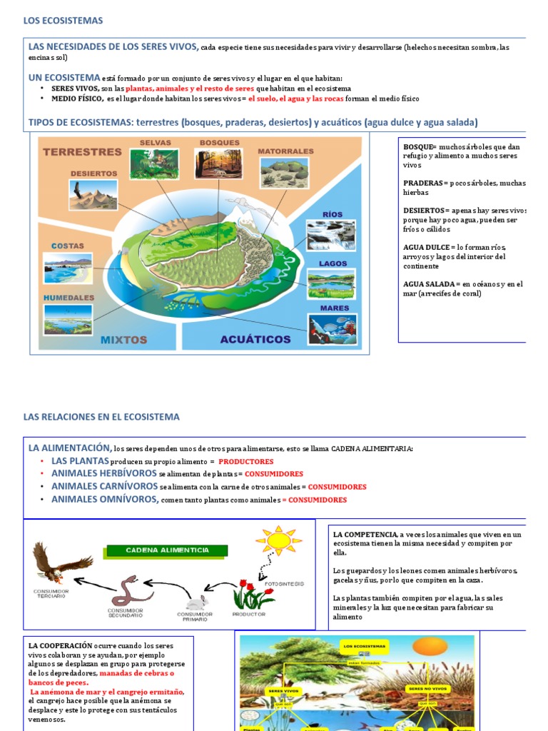 LOS ECOSISTEMAS.pdf Simbiosis Ecología comunitaria