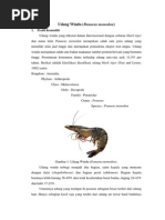 Download Udang Windu by Sefitiana Wulan Sari SN188857156 doc pdf