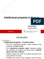 Intellectual Property Rights in Europe Explained