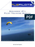 Temple: Beginner (P1) Pilot Training Manual