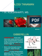 Materi 12-Gibberellin