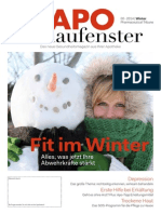 APO Schaufenster 00 2014 NEU